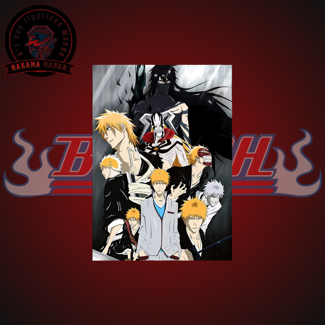 Tableaux Bleach - Kurosaki Ichigo