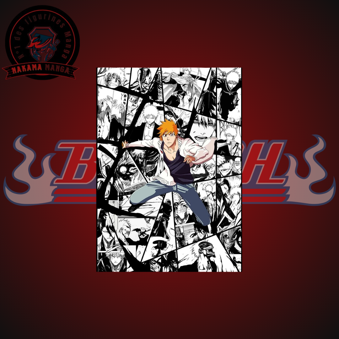 Tableaux Bleach - Kurosaki Ichigo