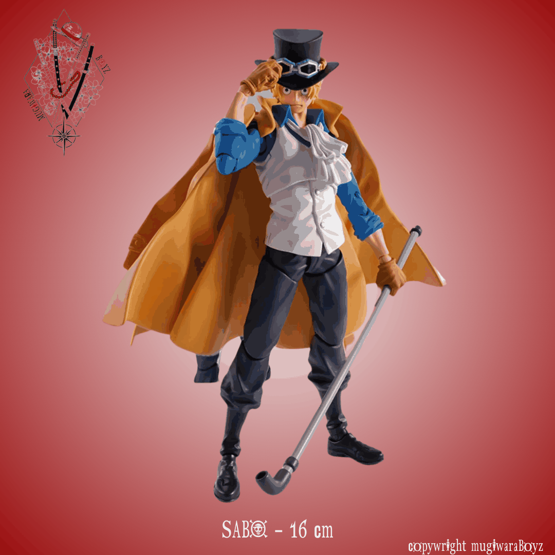 évolutionnaire - Sabo