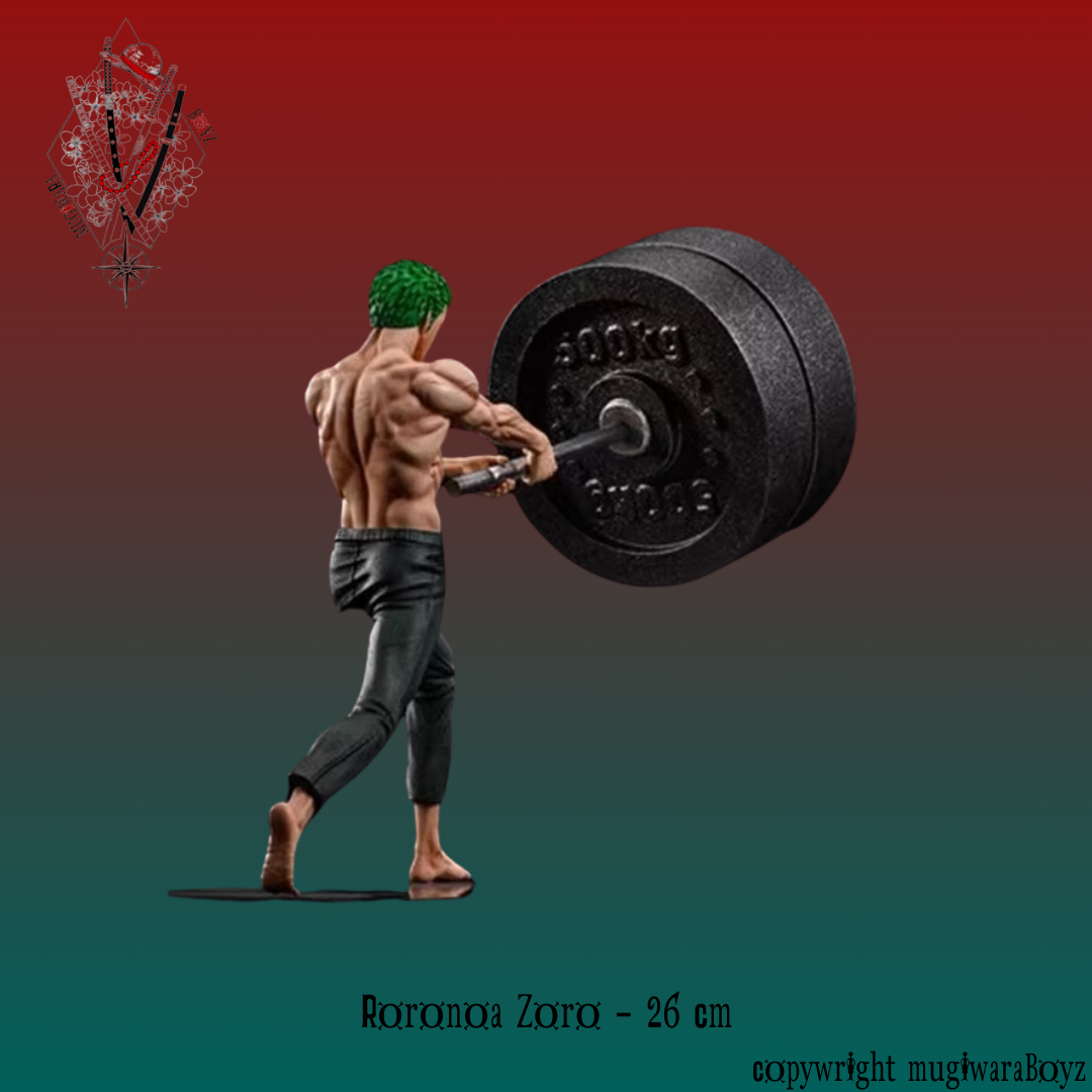 Figurine One Piece - Roronoa Zoro exercice