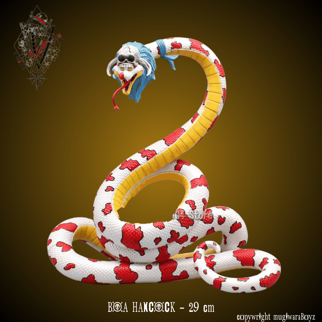 Grand corsaire - Boa Hacock