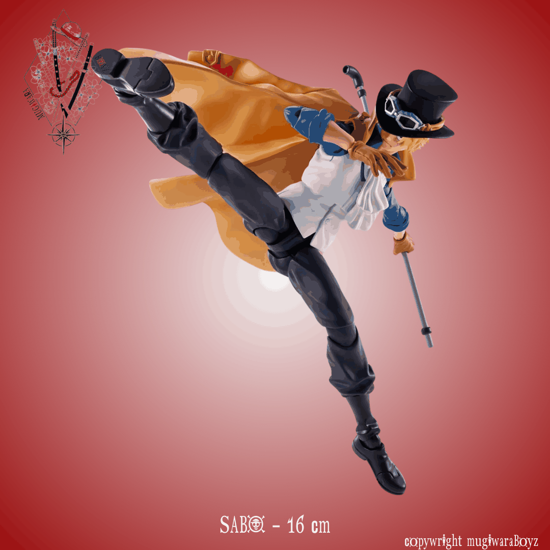 évolutionnaire - Sabo