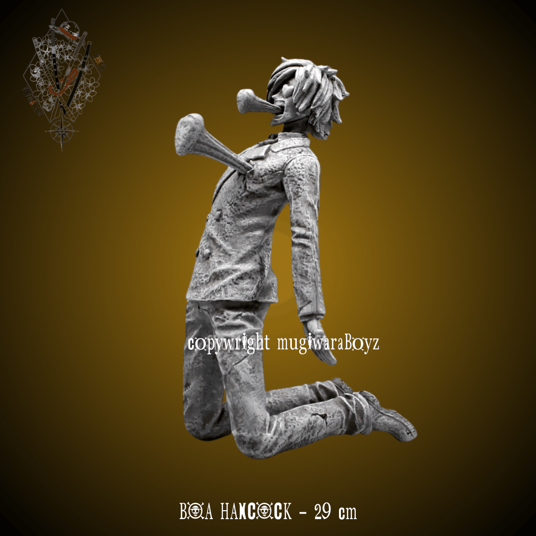 Grand corsaire - Boa Hacock