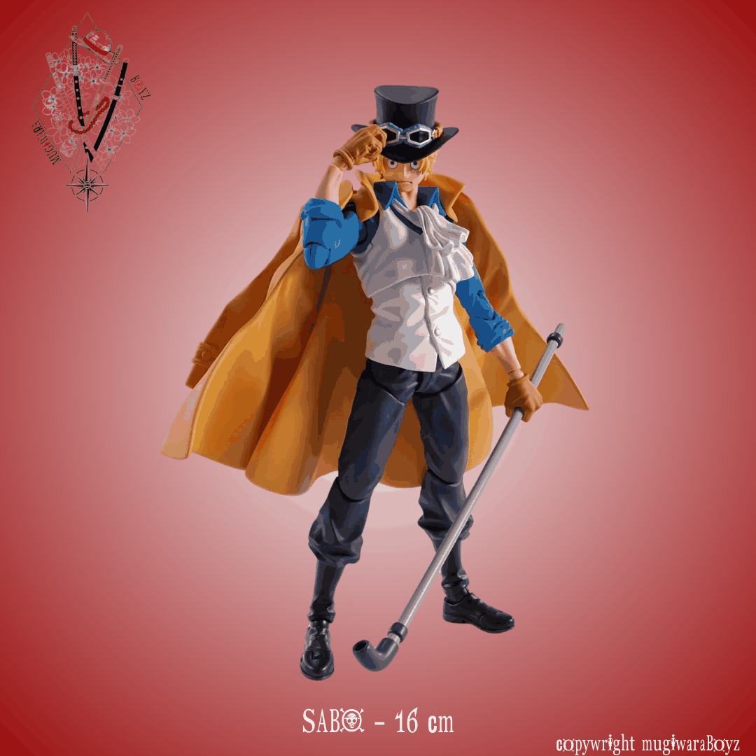 évolutionnaire - Sabo