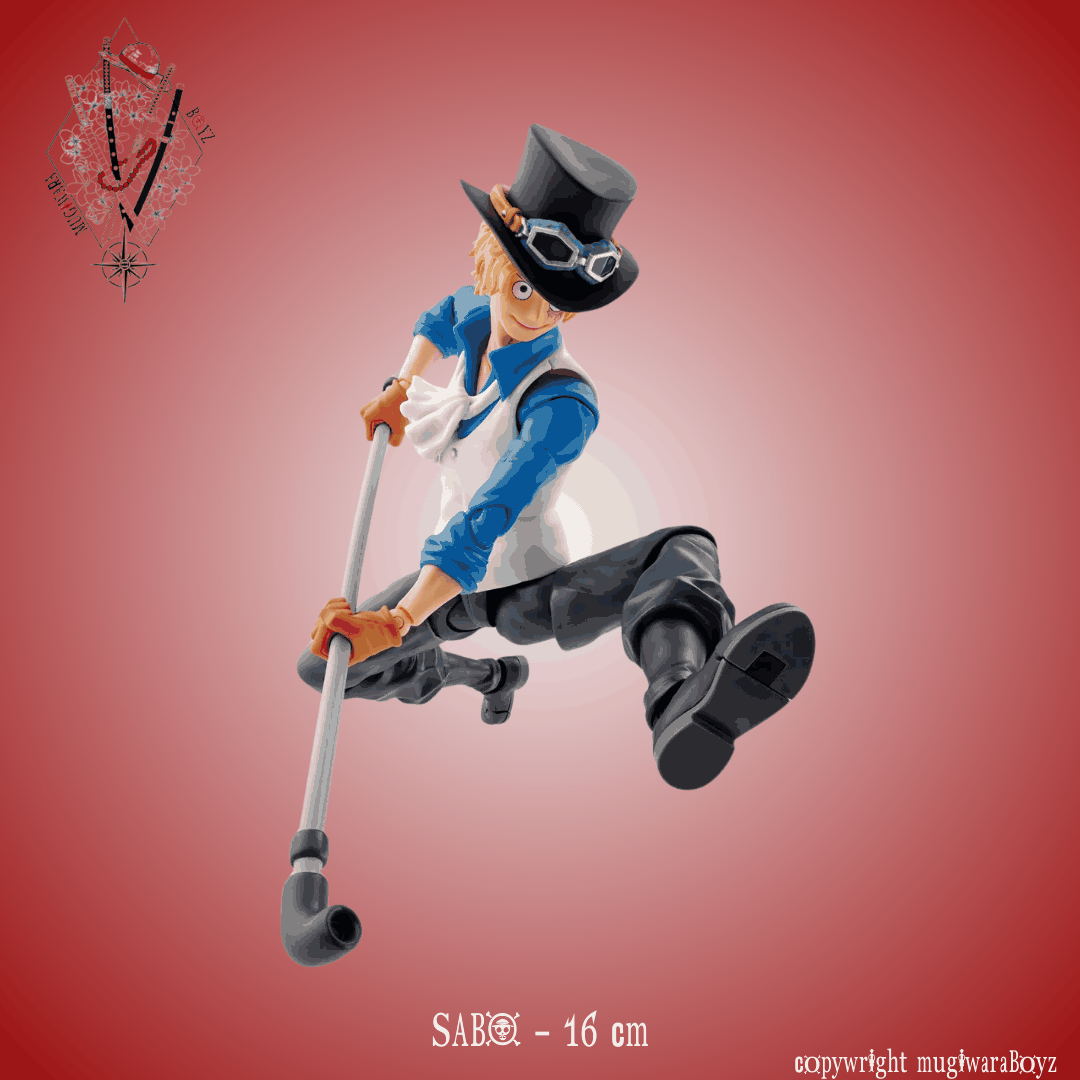 évolutionnaire - Sabo