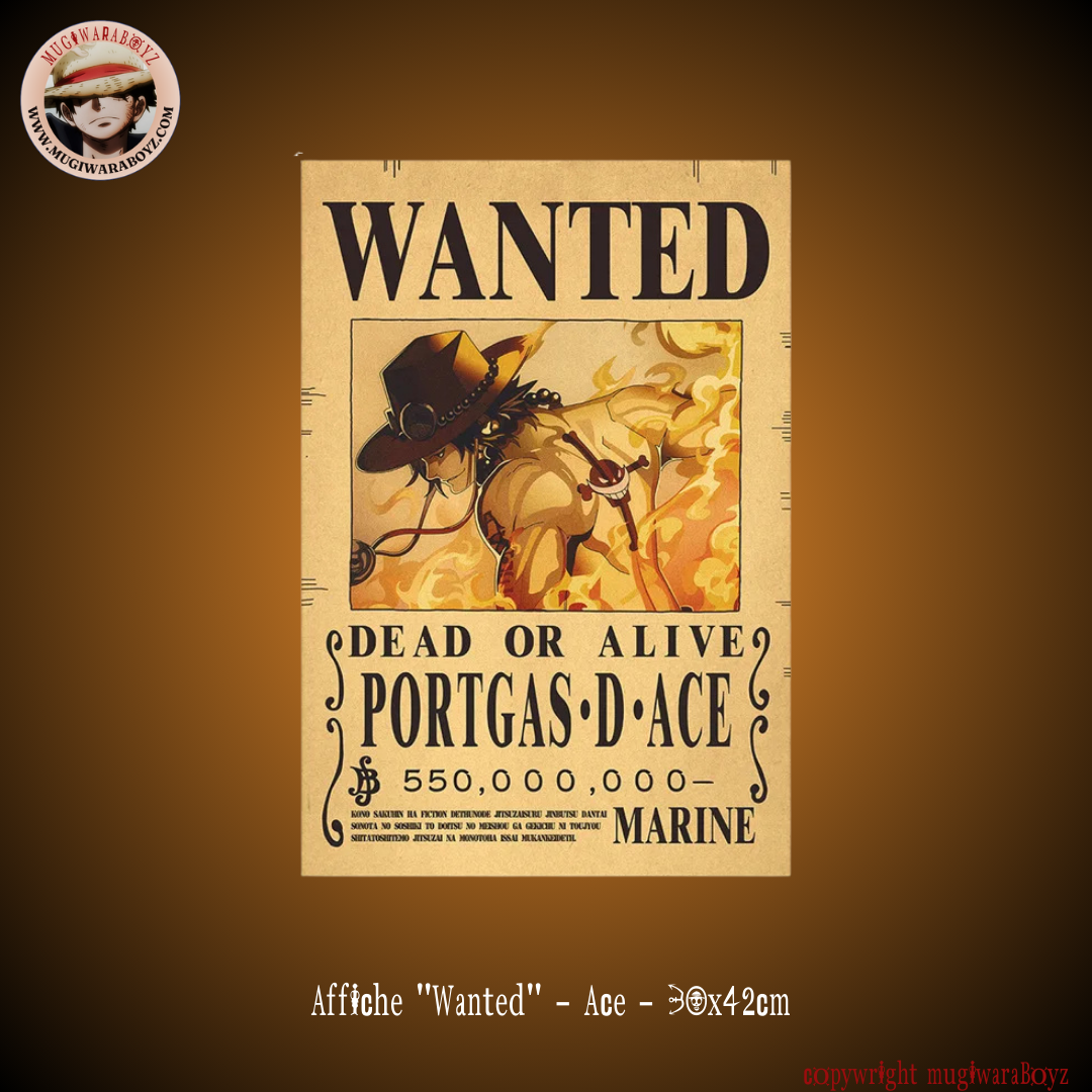 affiche wanted One Piece