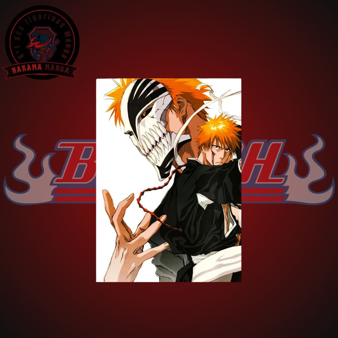 Tableaux Bleach - Kurosaki Ichigo