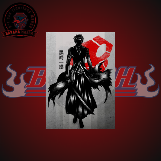 Tableaux Bleach - Kurosaki Ichigo