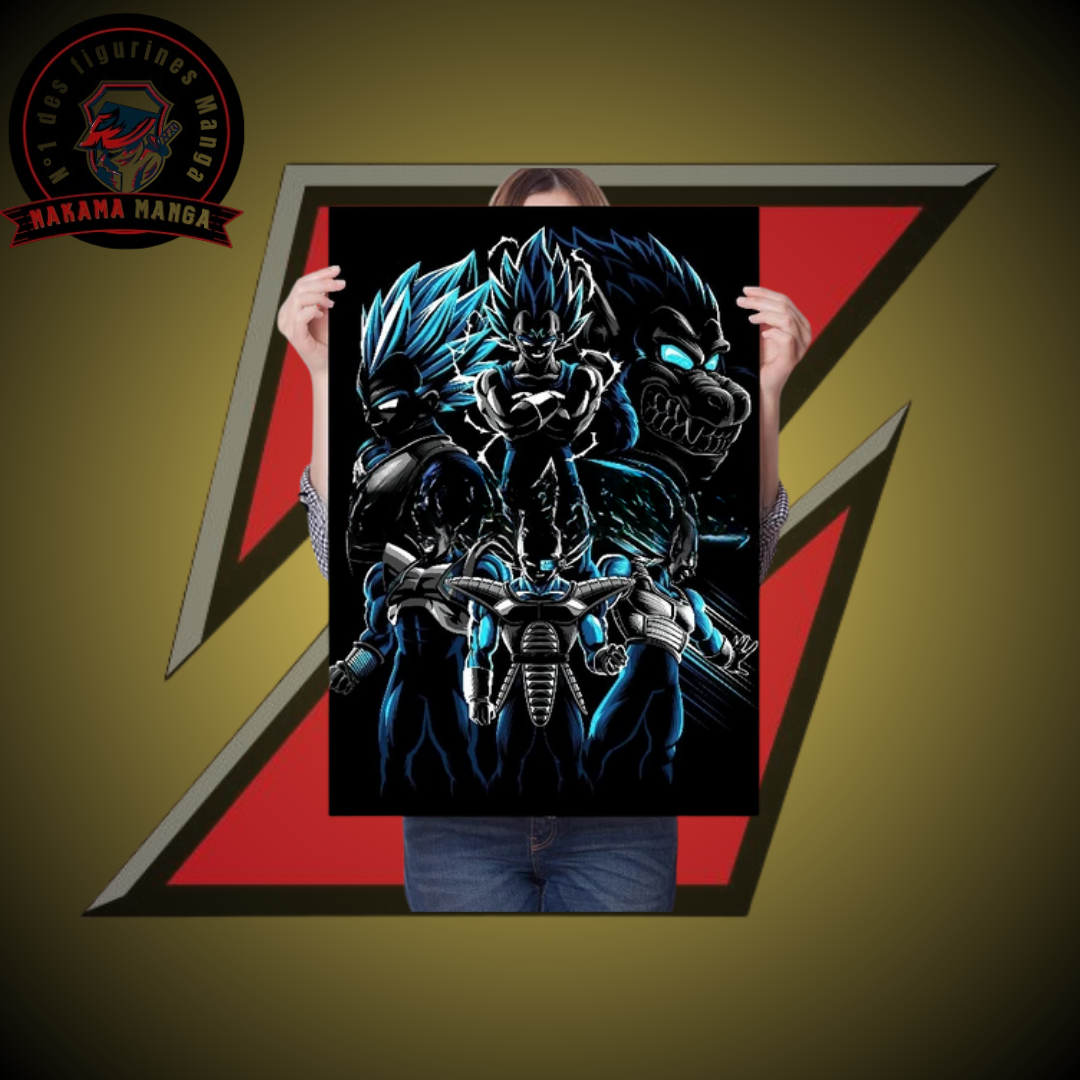 Tableaux Dragon Ball Z - Saiyans