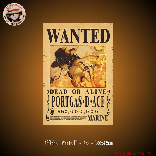 affiche wanted One Piece