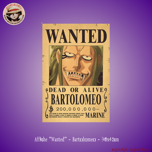 "Wanted" poster - Bartolomeo
