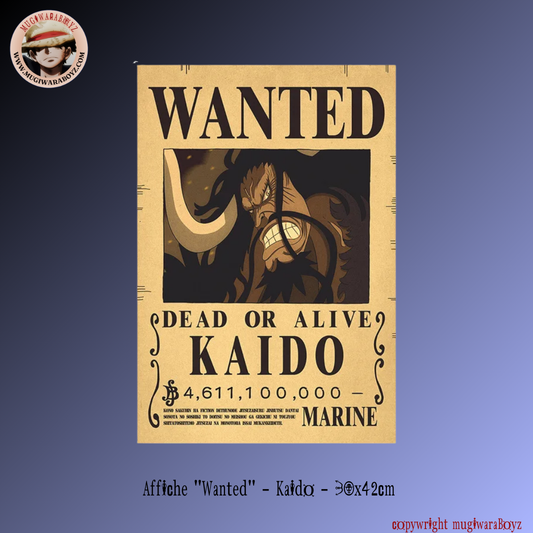 Affiche "Wanted" - Kaido